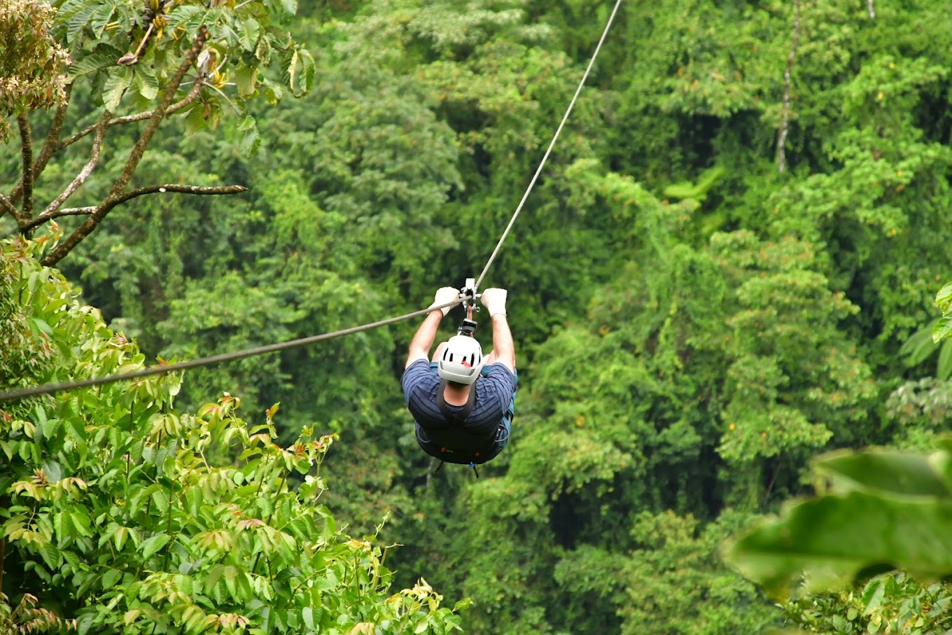 Living Forest ake Arenal